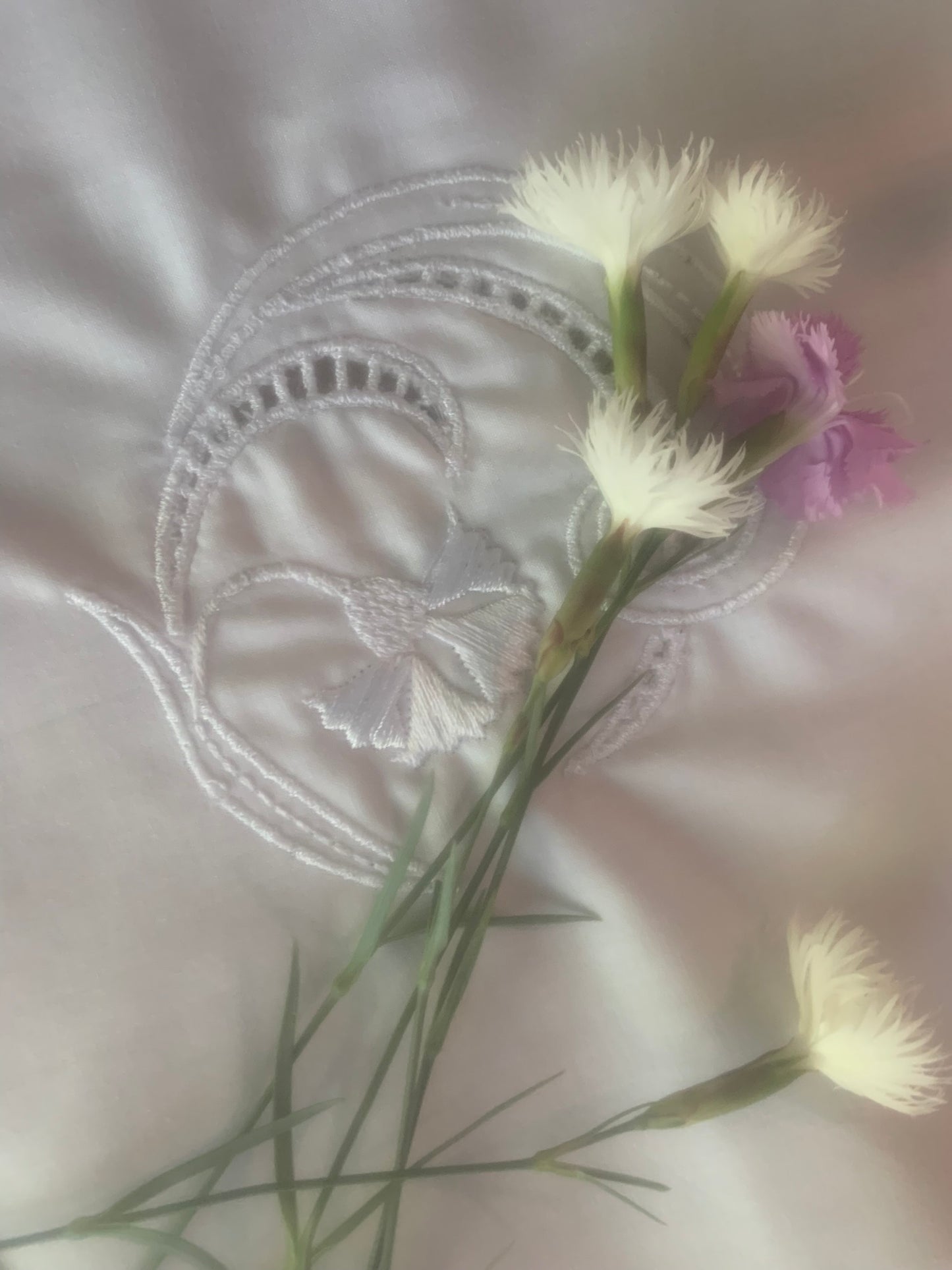 Cutworc machine embroidery. Carnation